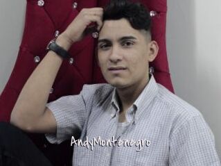 AndyMontenegro