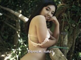 Blossom_honey