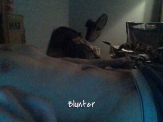 Blunter