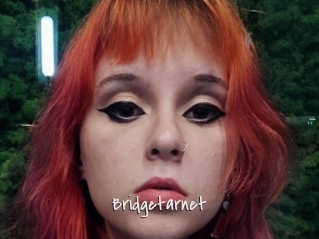 Bridgetarnet