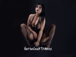 HorseCockTransx