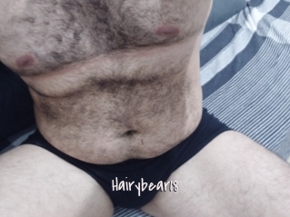 Hairybear18