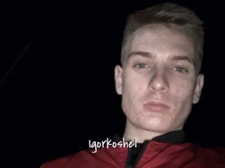 Igorkoshel