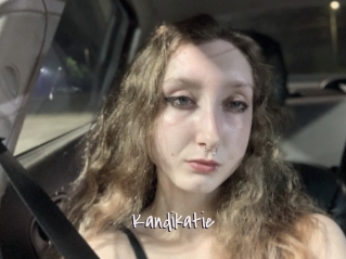 Kandikatie