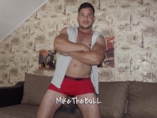 MikeTheBuLL