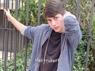 Mattrobert