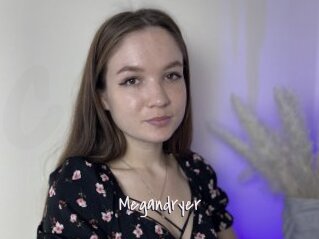 Megandryer