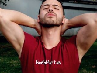 NoahMorton