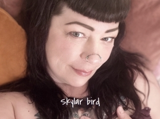 Skylar_bird