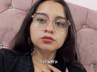 Sofiware