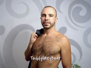 TeddyHairyBear