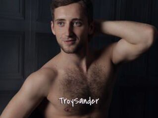 TroySander