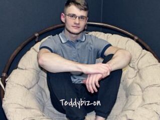 Teddybizon