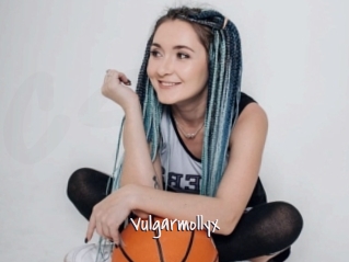 Vulgarmollyx