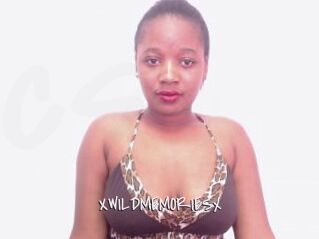 XWILDMEMORIESx