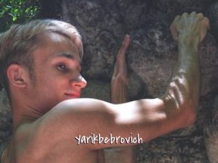 Yarikbebrovich